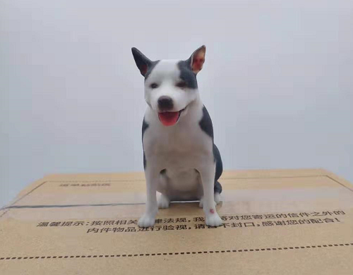 全彩宠物狗3D打印