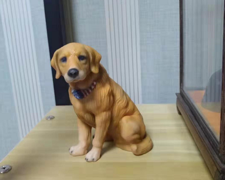 全彩3D打印宠物狗模型